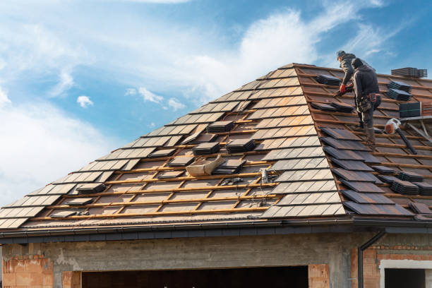 Best Metal Roofing Installation  in Hallsville, MO