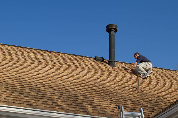 Best Solar Panel Roofing Installation  in Hallsville, MO
