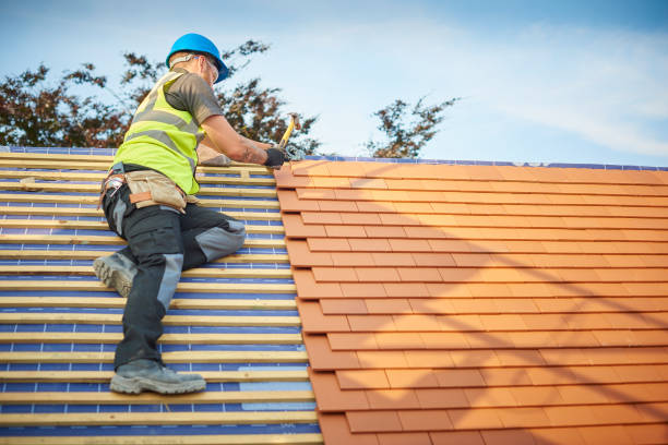 Best Gutter Installation and Repair  in Hallsville, MO